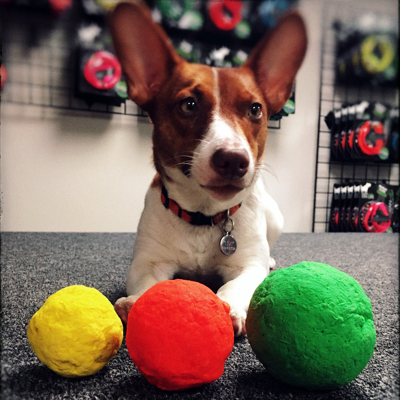 WUNDERball | Award-Winning Natural Rubber Fetch Toy | Floats, Cleans Teeth, 4 Sizes