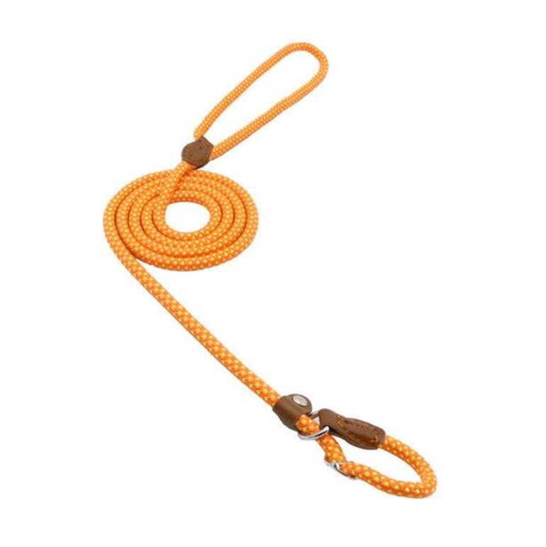 Nylon Pup Collar & Lead Set | Double-Stitched | Adjustable | S–XL | Multiple Colors