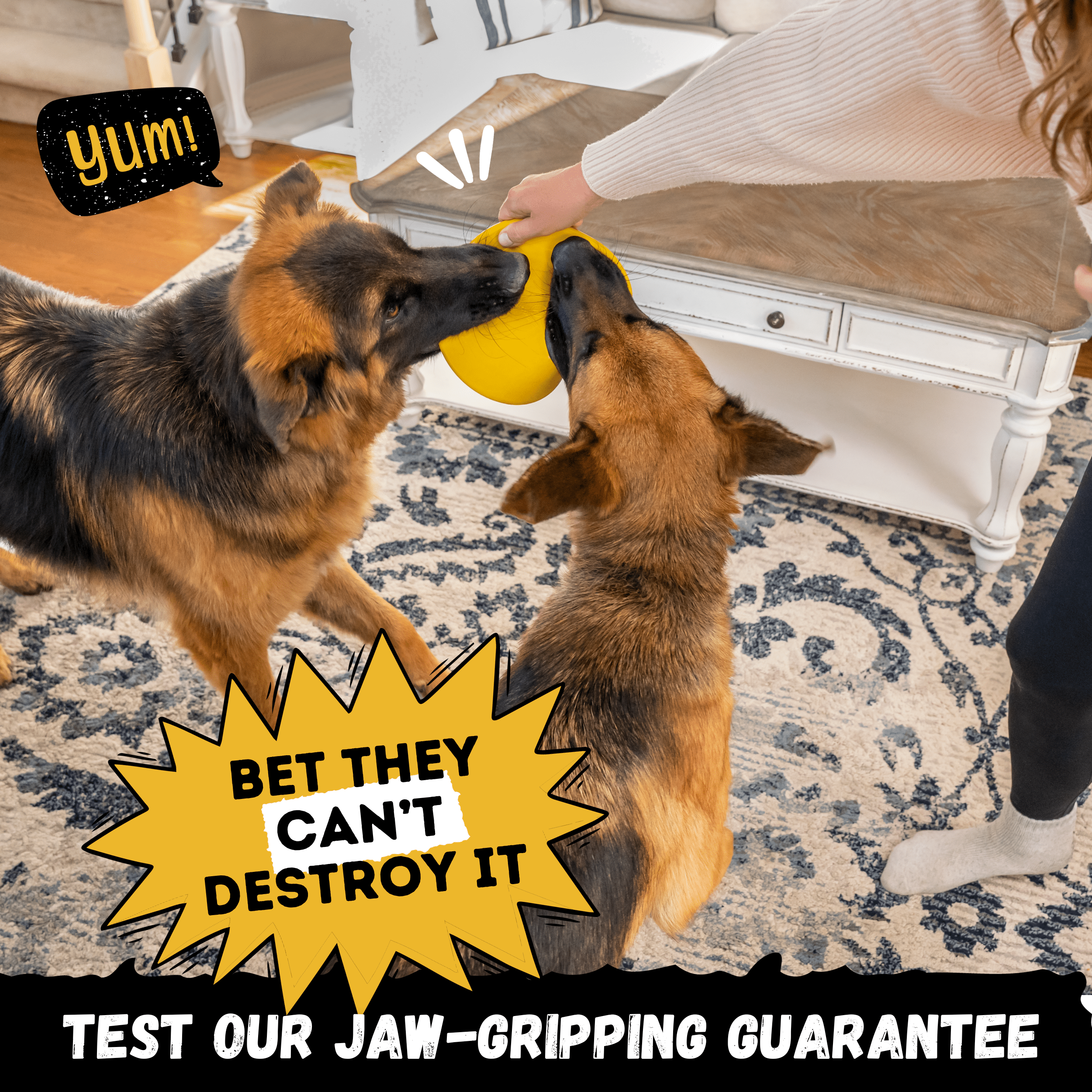 WOOFBITE Disc Dog Toy | Industrial-Strength Rubber Frisbee | Lifetime Guarantee | Large Dogs