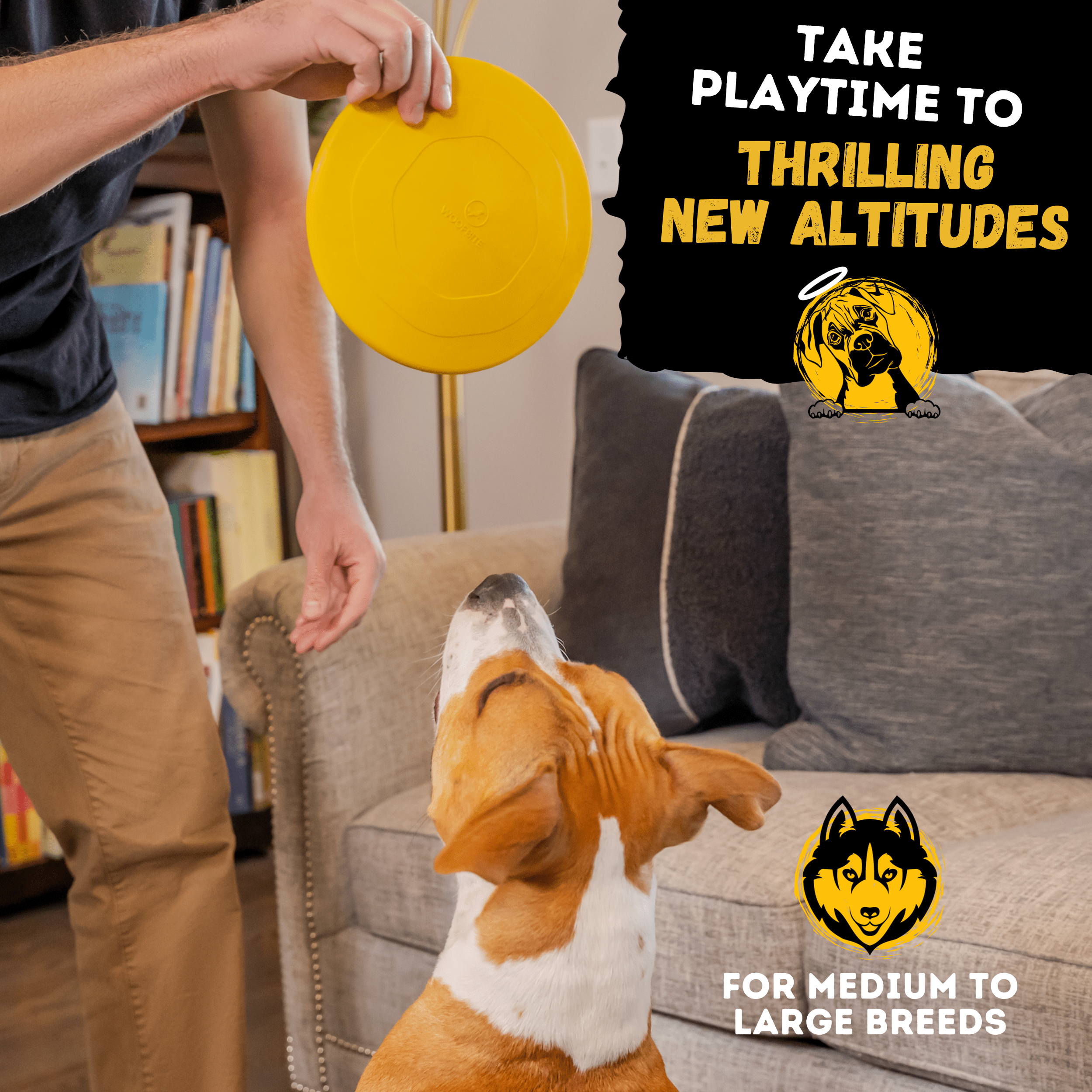 WOOFBITE Disc Dog Toy | Industrial-Strength Rubber Frisbee | Lifetime Guarantee | Large Dogs