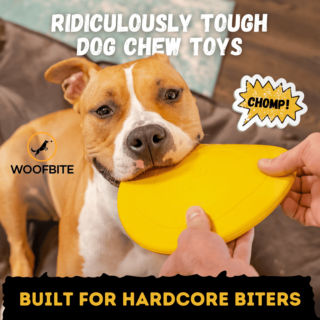 WOOFBITE Disc Dog Toy | Industrial-Strength Rubber Frisbee | Lifetime Guarantee | Large Dogs