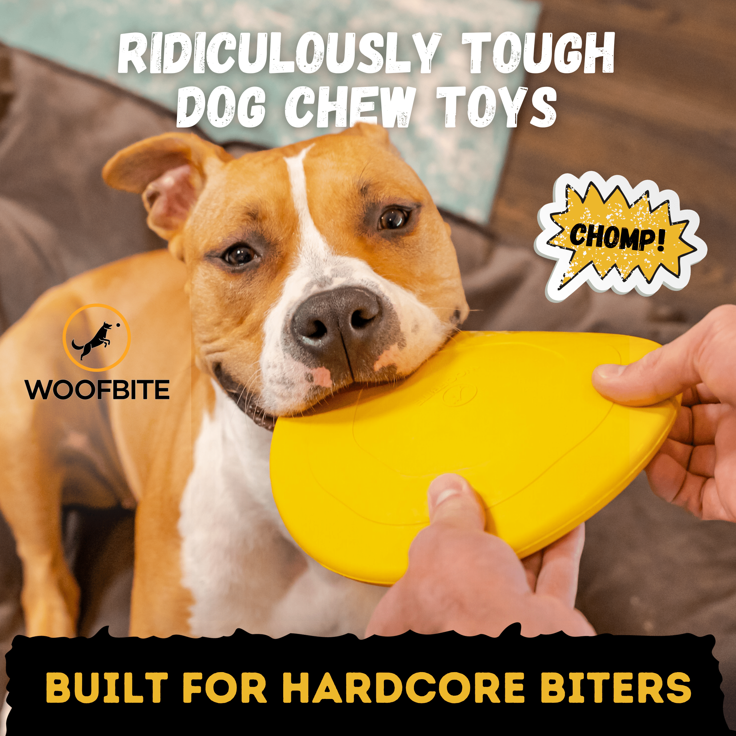 WOOFBITE Disc Dog Toy | Industrial-Strength Rubber Frisbee | Lifetime Guarantee | Large Dogs
