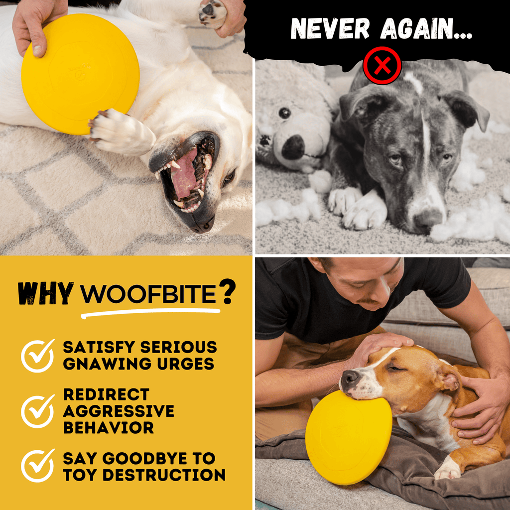 WOOFBITE Disc Dog Toy | Industrial-Strength Rubber Frisbee | Lifetime Guarantee | Large Dogs