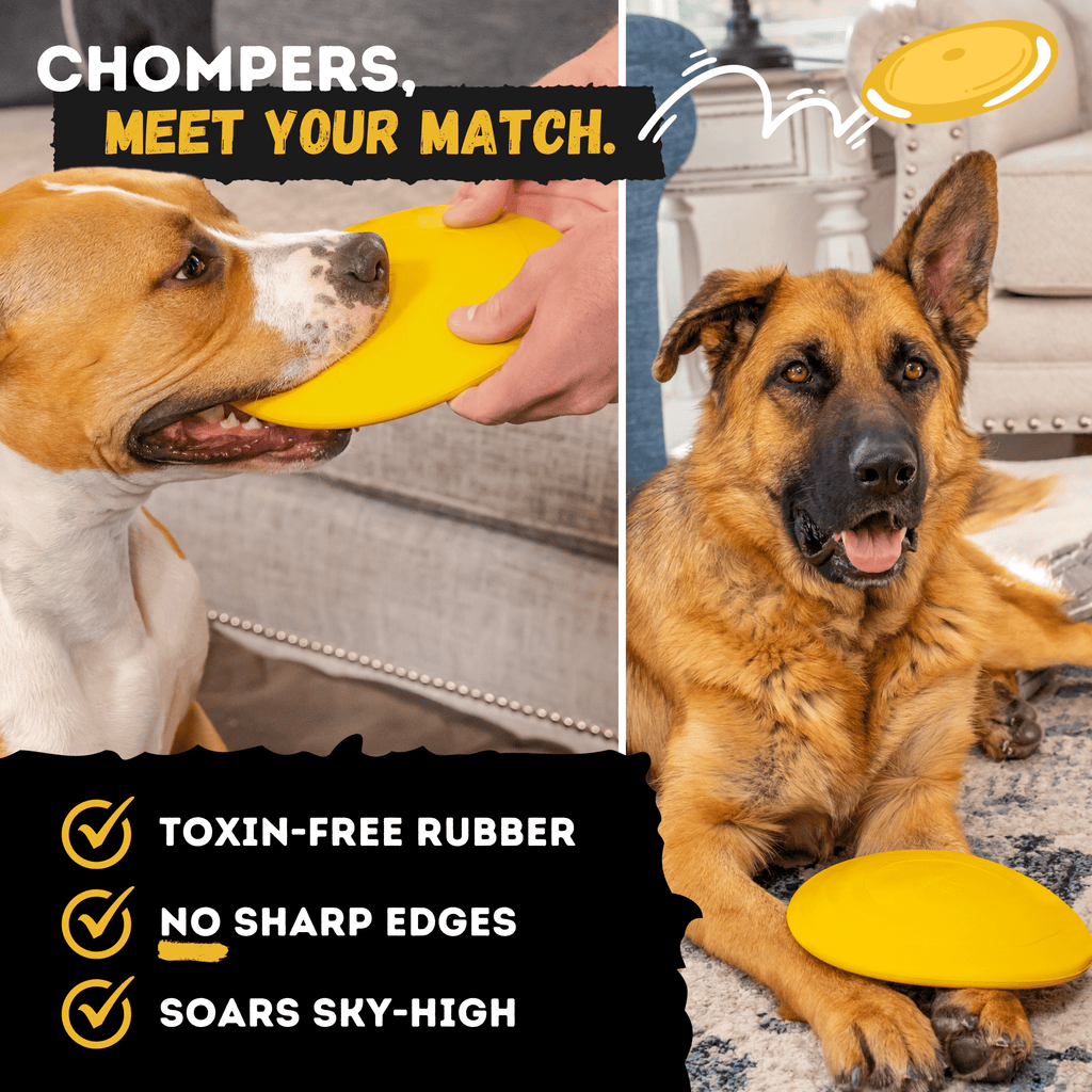 WOOFBITE Disc Dog Toy | Industrial-Strength Rubber Frisbee | Lifetime Guarantee | Large Dogs