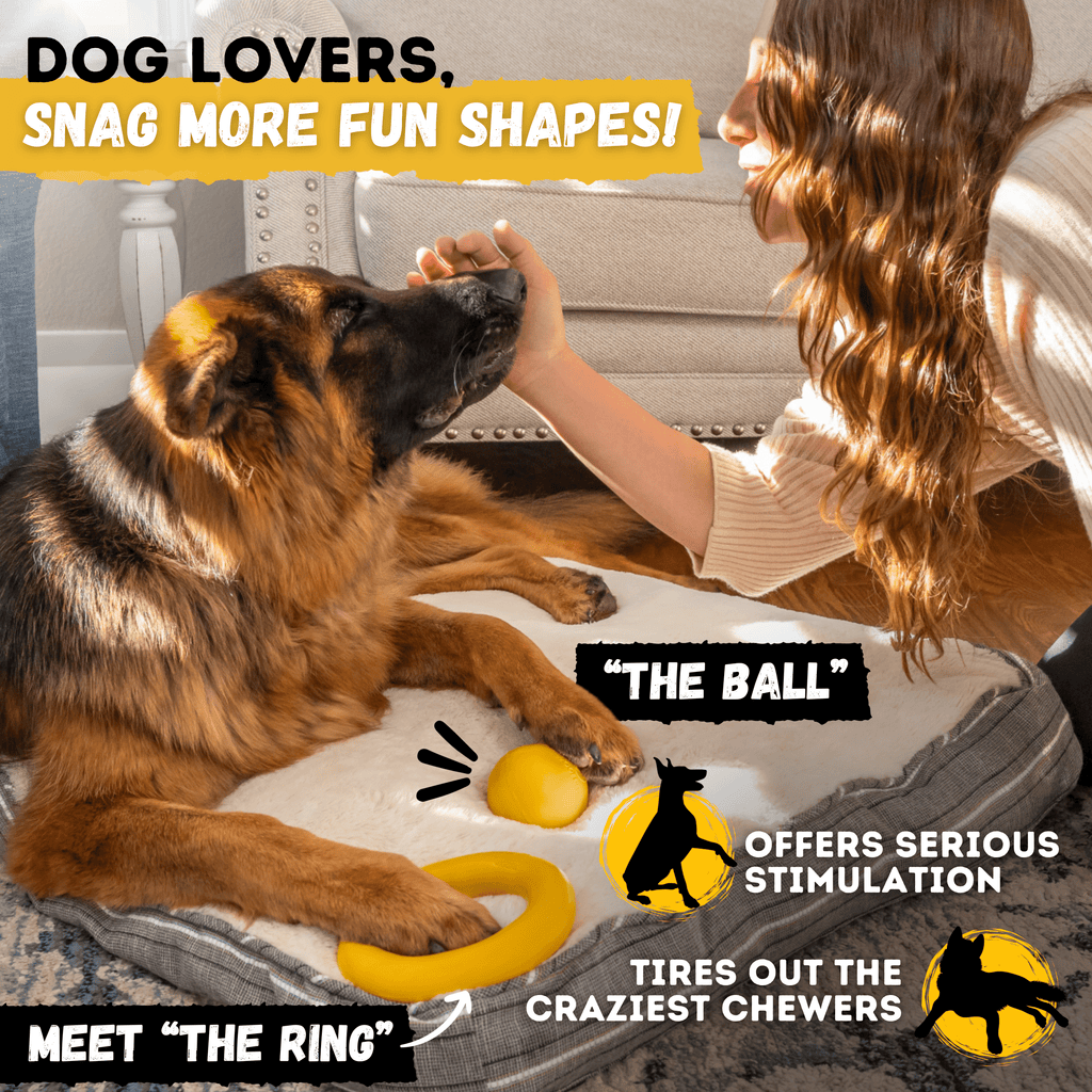 WOOFBITE Disc Dog Toy | Industrial-Strength Rubber Frisbee | Lifetime Guarantee | Large Dogs
