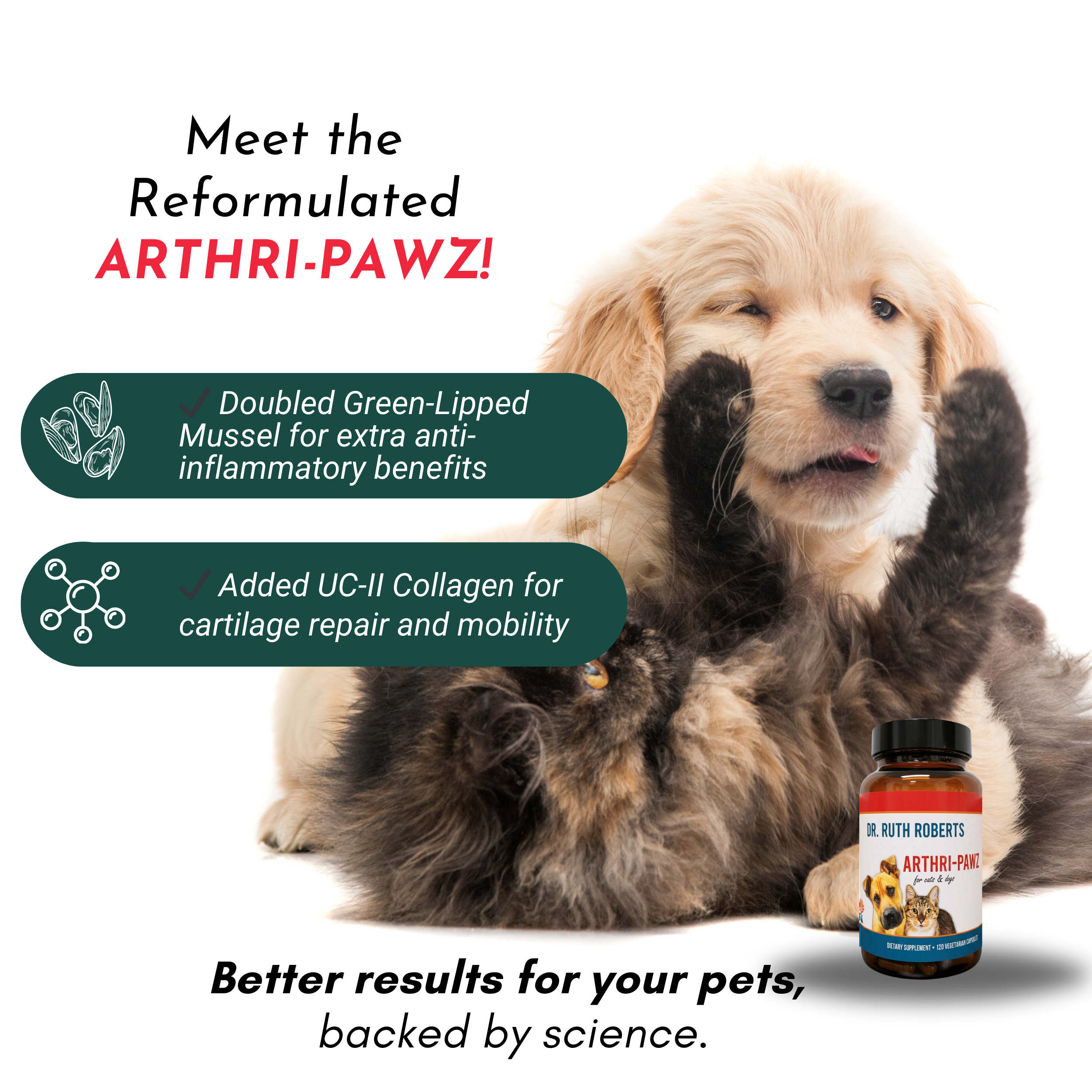 Arthri-Pawz Joint Support for Dogs & Cats | Glucosamine, MSM, Green-Lipped Mussel & Boswellia | 120 Capsules