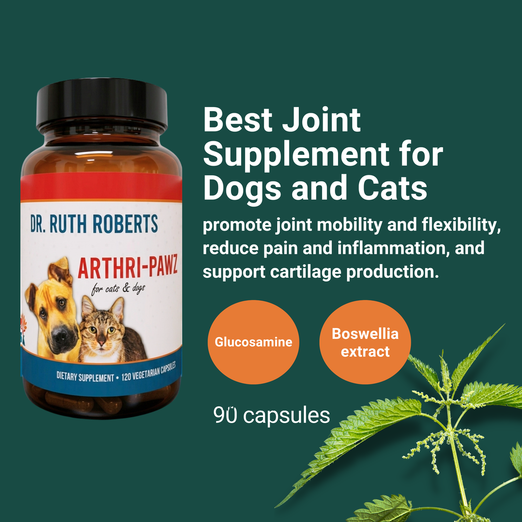 Arthri-Pawz Joint Support for Dogs & Cats | Glucosamine, MSM, Green-Lipped Mussel & Boswellia | 120 Capsules