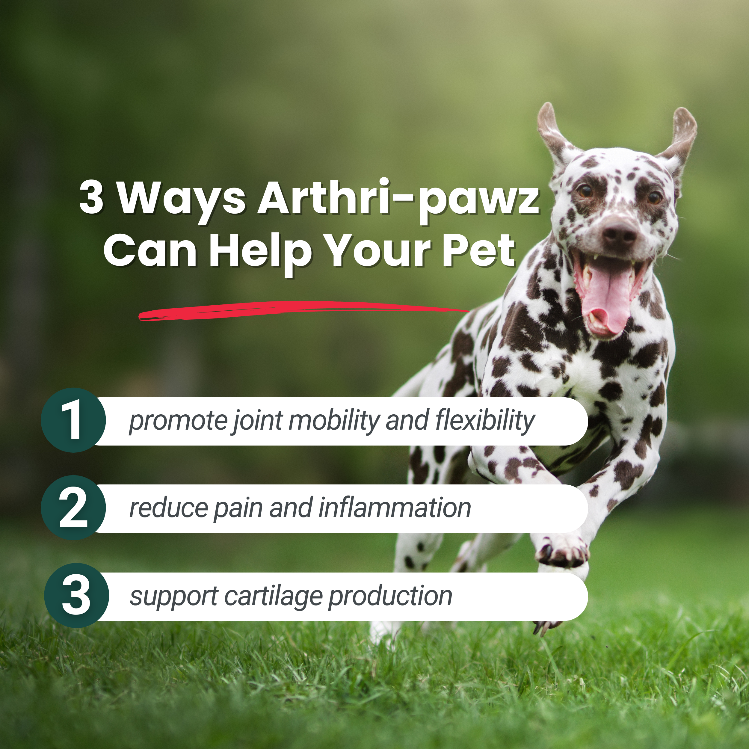 Arthri-Pawz Joint Support for Dogs & Cats | Glucosamine, MSM, Green-Lipped Mussel & Boswellia | 120 Capsules