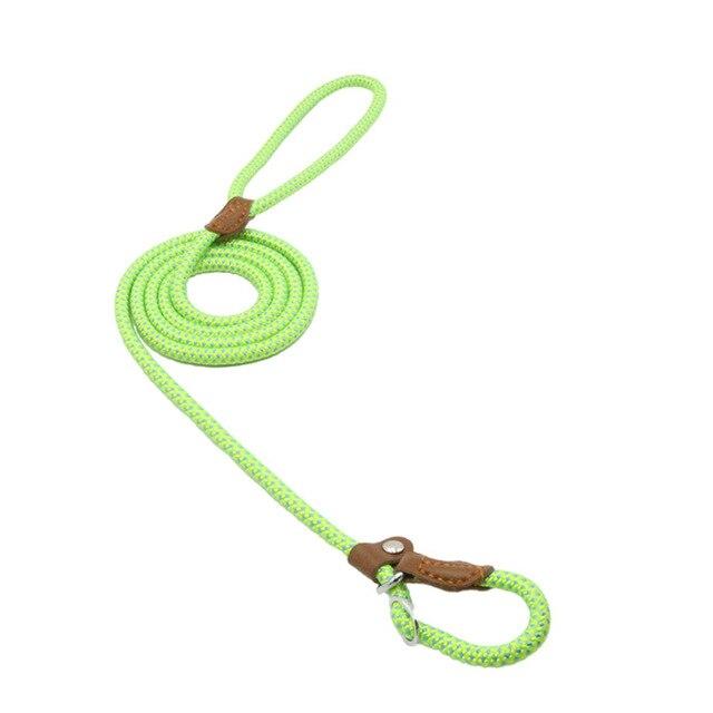 Nylon Pup Collar & Lead Set | Double-Stitched | Adjustable | S–XL | Multiple Colors