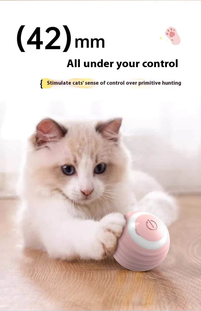 Smart Interactive Dog & Cat Toy Ball | Automatic Movement | Grounder & Jump Ball | Battery Included