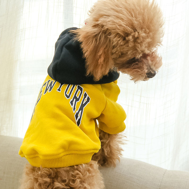New York Terry Hoodie Dog Sweatshirt | Soft Cotton | XS–4XL | Beige, Black, White & Yellow