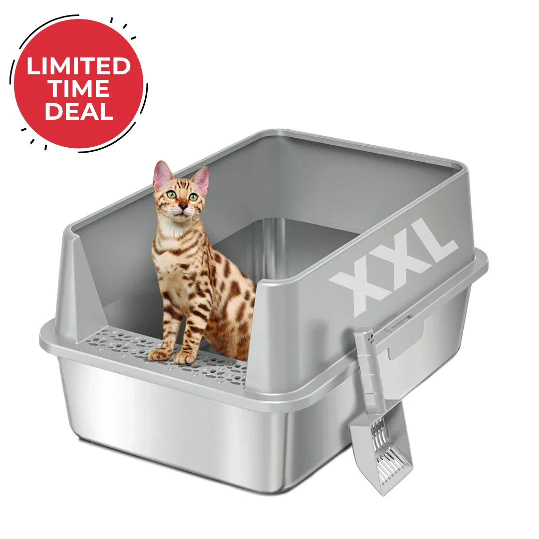 XXL Stainless Steel Cat Litter Box | High Sides, Low Entry | 304 Steel | Multi-Cat & Large Breeds
