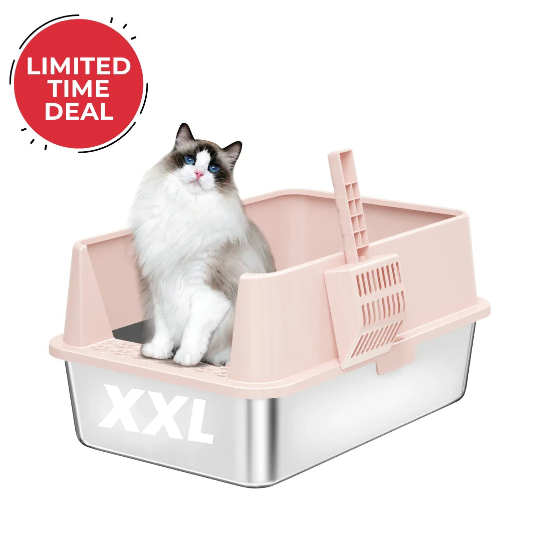 XXL Stainless Steel Cat Litter Box | High Sides, Low Entry | 304 Steel | Multi-Cat & Large Breeds