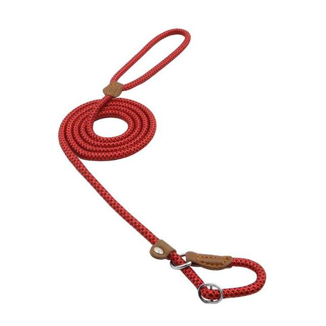 Nylon Pup Collar & Lead Set | Double-Stitched | Adjustable | S–XL | Multiple Colors