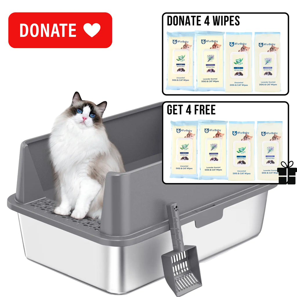 XXL Stainless Steel Cat Litter Box | High Sides, Low Entry | 304 Steel | Multi-Cat & Large Breeds