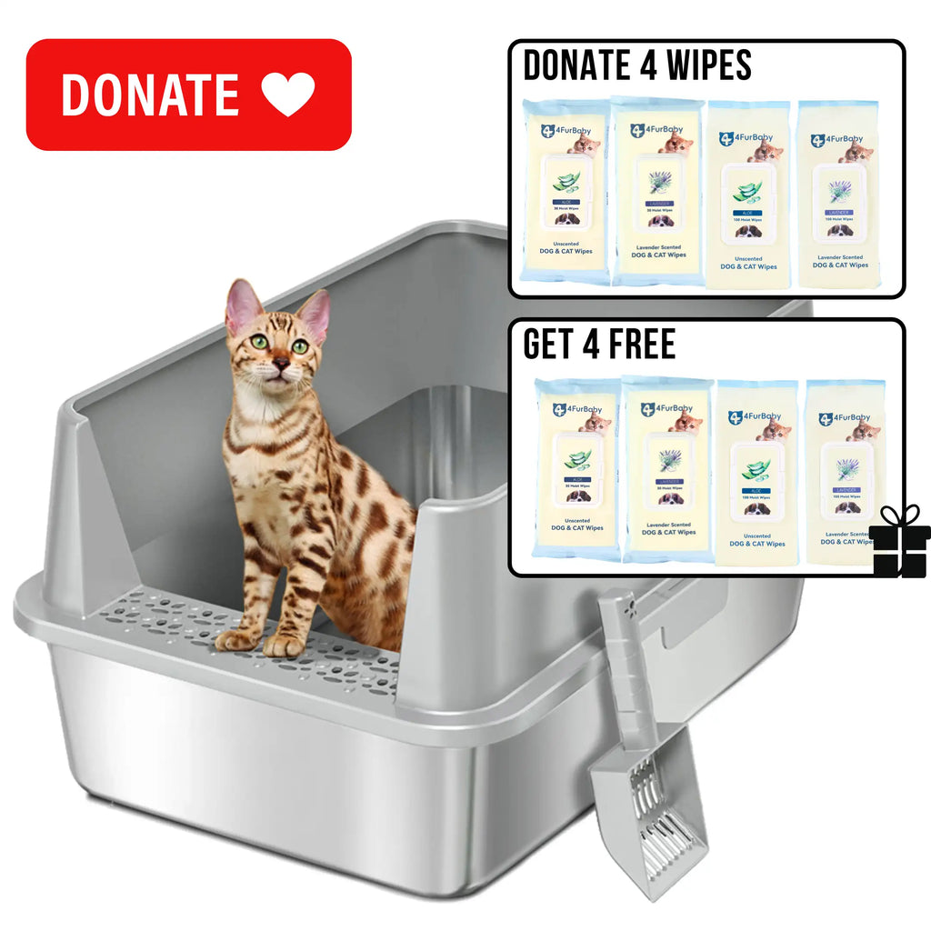XXL Stainless Steel Cat Litter Box | High Sides, Low Entry | 304 Steel | Multi-Cat & Large Breeds