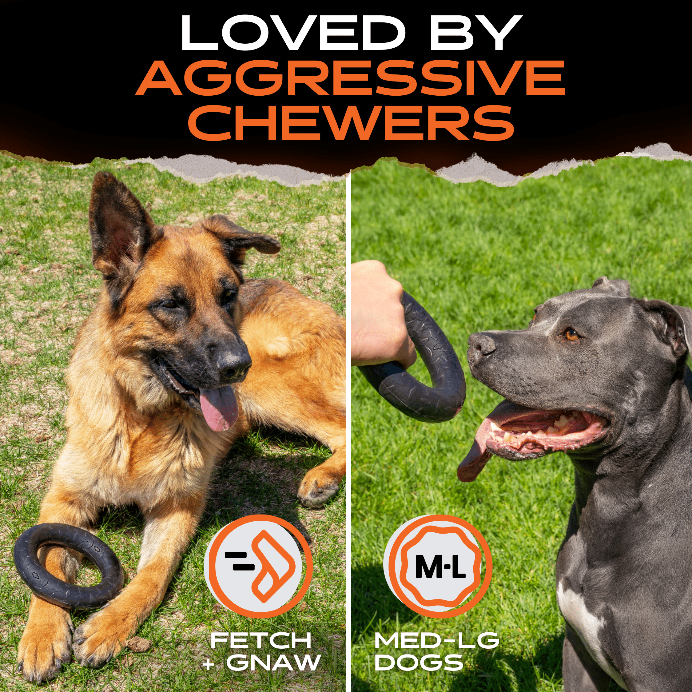Monster K9 Diamond Ring Dog Toy | Military-Grade Rubber | Made in USA | Lifetime Guarantee