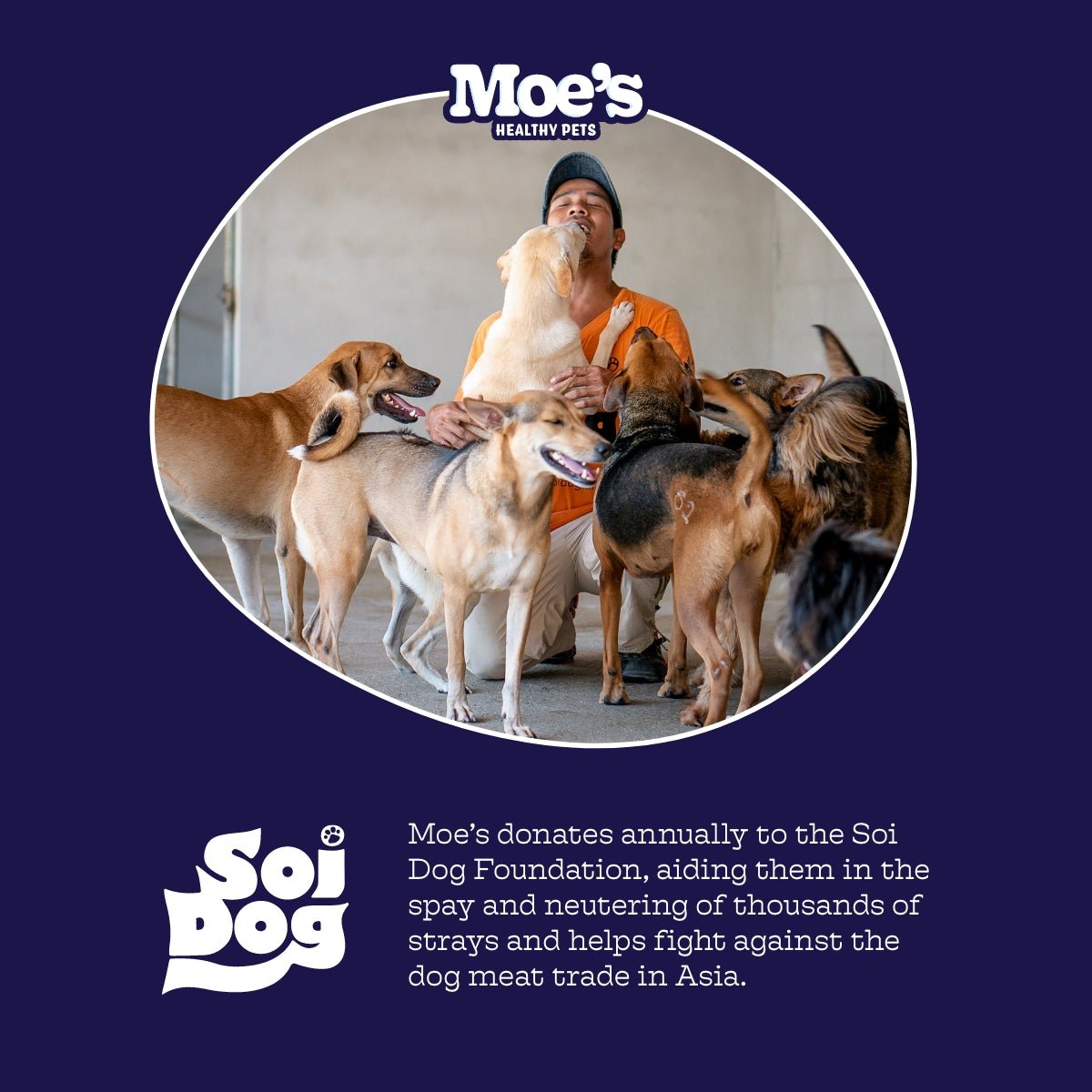 Moe's Chillout Calming Soft Chews for Dogs | Hemp, Chamomile & L-Theanine | Peanut Butter | 90 Chews