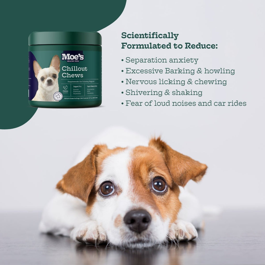Moe's Chillout Calming Soft Chews for Dogs | Hemp, Chamomile & L-Theanine | Peanut Butter | 90 Chews