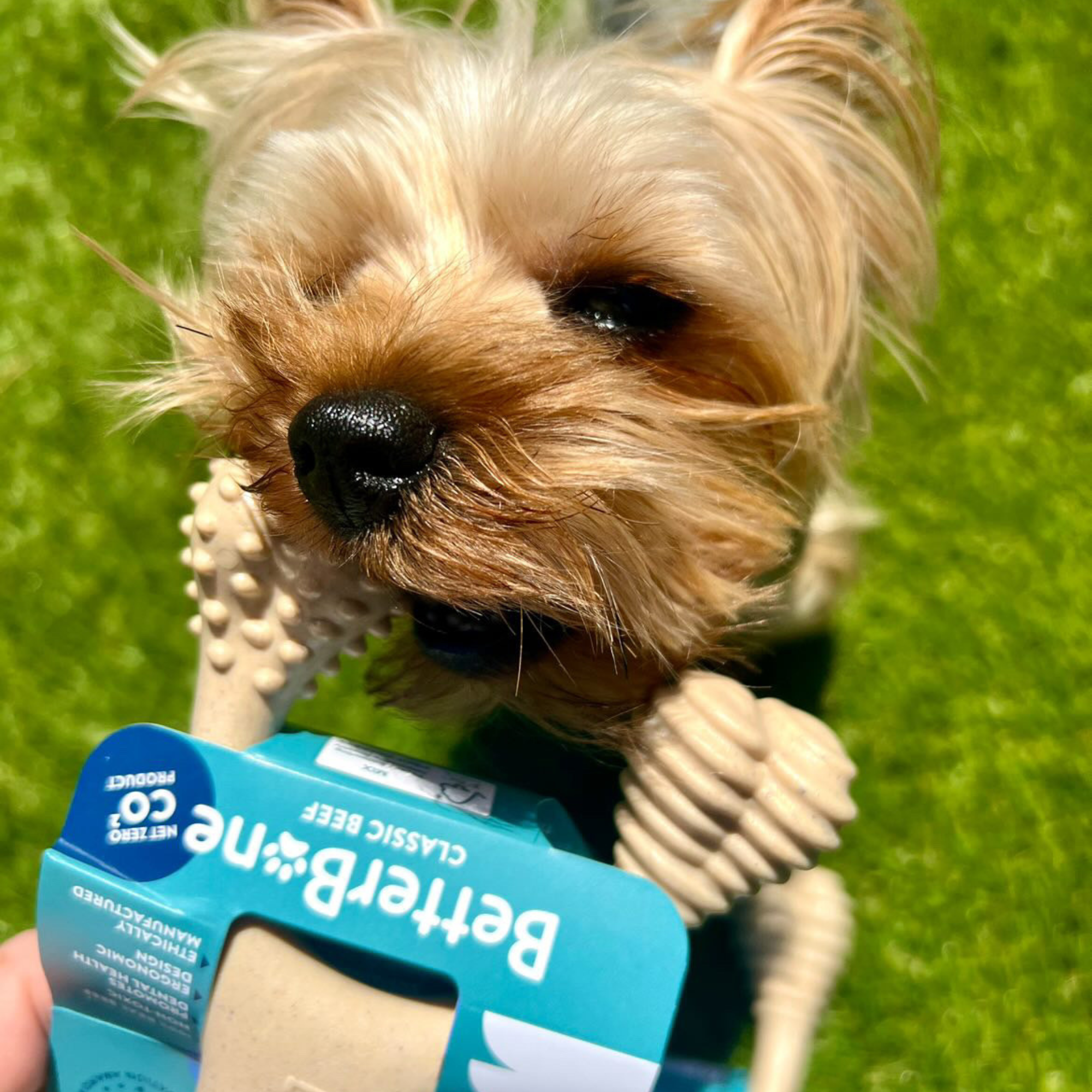 BetterBone SOFT | Plant-Based Gentle Chew Toy for Puppies & Senior Dogs | Non-Toxic | 3 Sizes