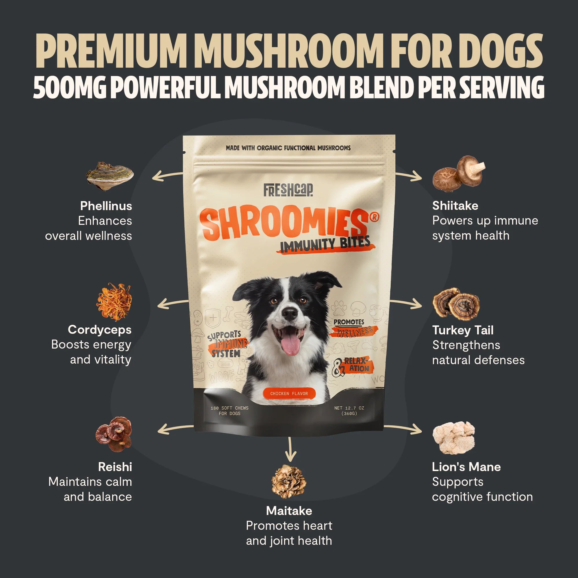 Organic Mushroom Complex for Dogs | 7-Mushroom Soft Chews | Immune & Calm Support