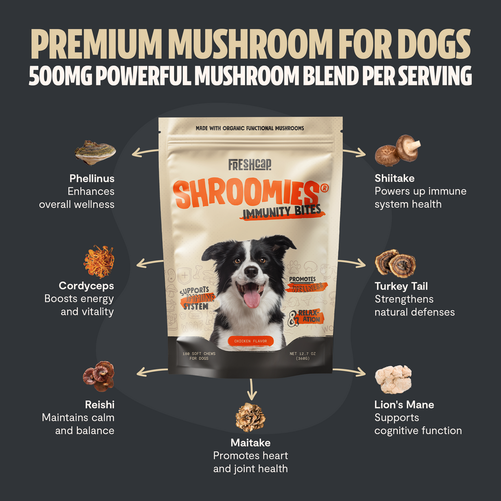 Organic Mushroom Complex for Dogs | 7-Mushroom Soft Chews | Immune & Calm Support