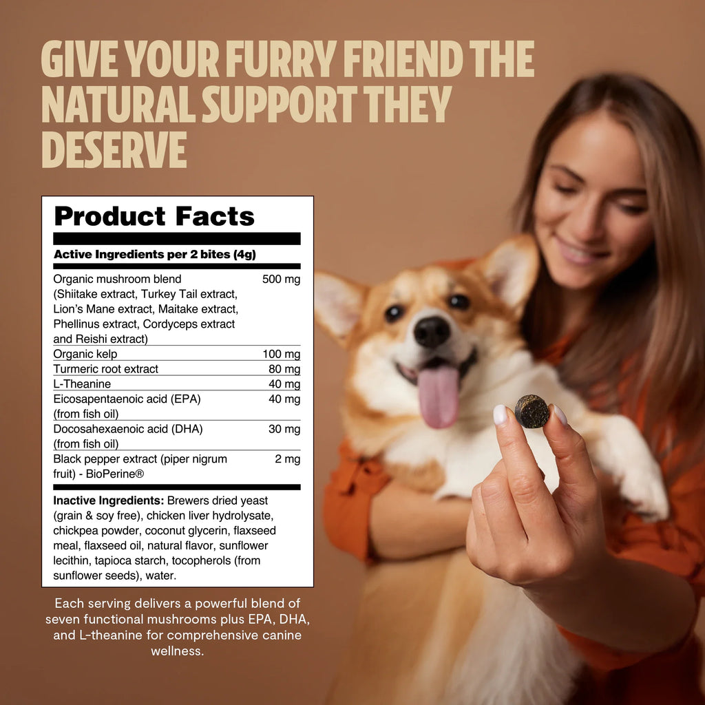Organic Mushroom Complex for Dogs | 7-Mushroom Soft Chews | Immune & Calm Support