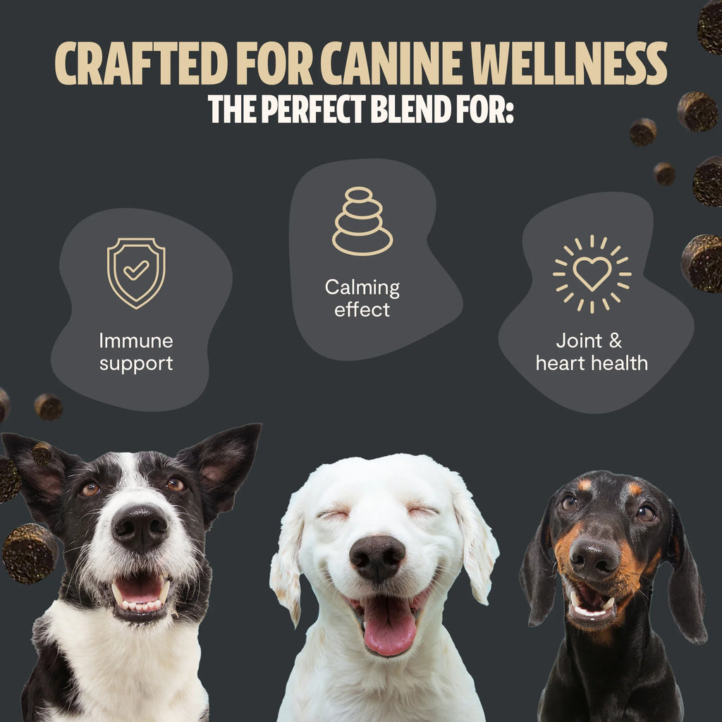 Organic Mushroom Complex for Dogs | 7-Mushroom Soft Chews | Immune & Calm Support