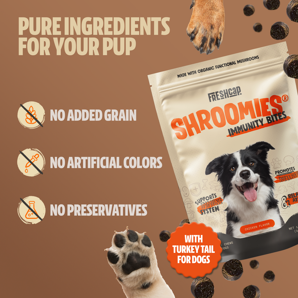 Organic Mushroom Complex for Dogs | 7-Mushroom Soft Chews | Immune & Calm Support