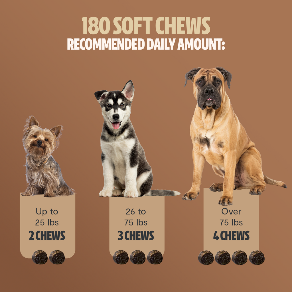 Organic Mushroom Complex for Dogs | 7-Mushroom Soft Chews | Immune & Calm Support