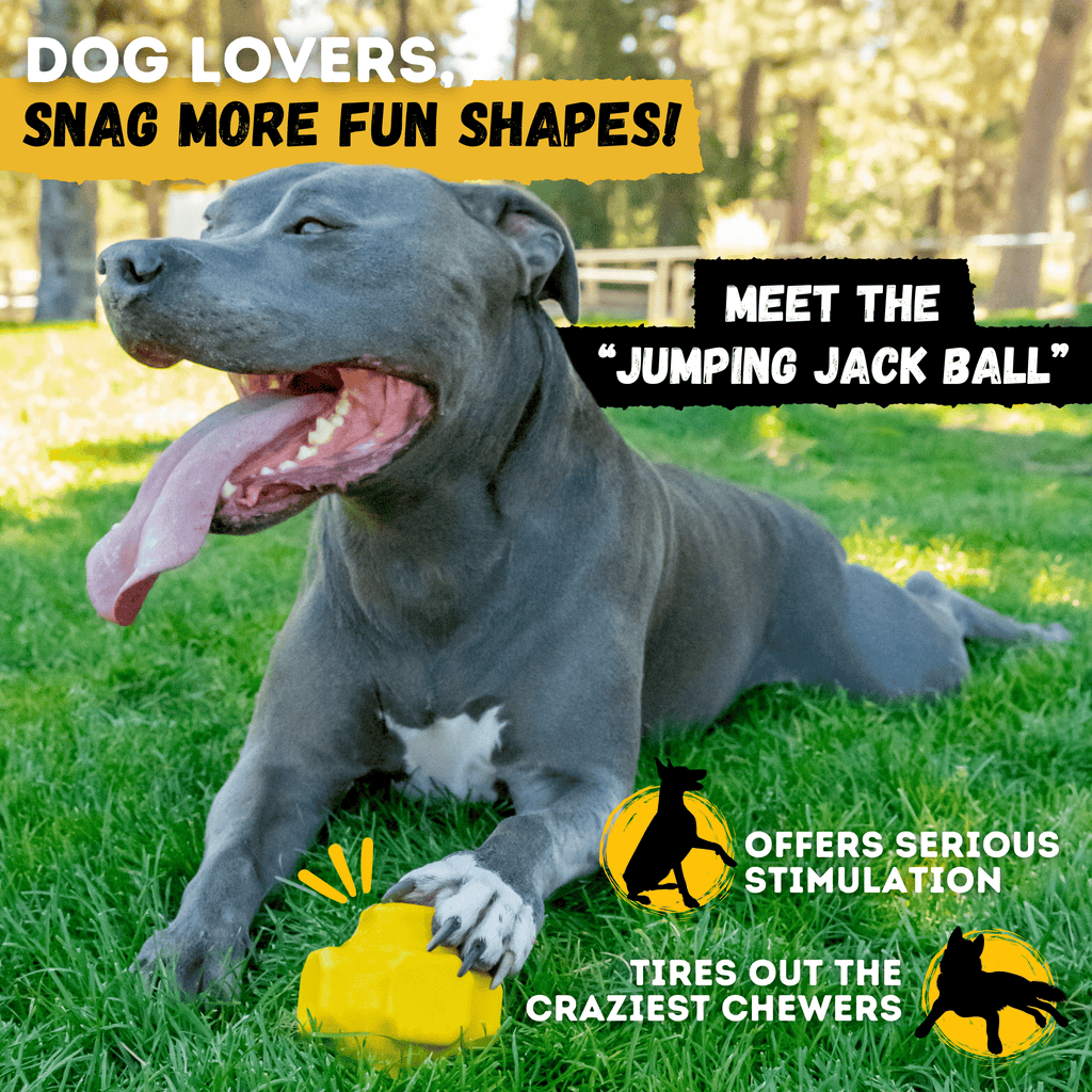 WOOFBITE Sphere Dog Toy | Cross-Cage Design | Industrial-Strength Rubber | Lifetime Guarantee