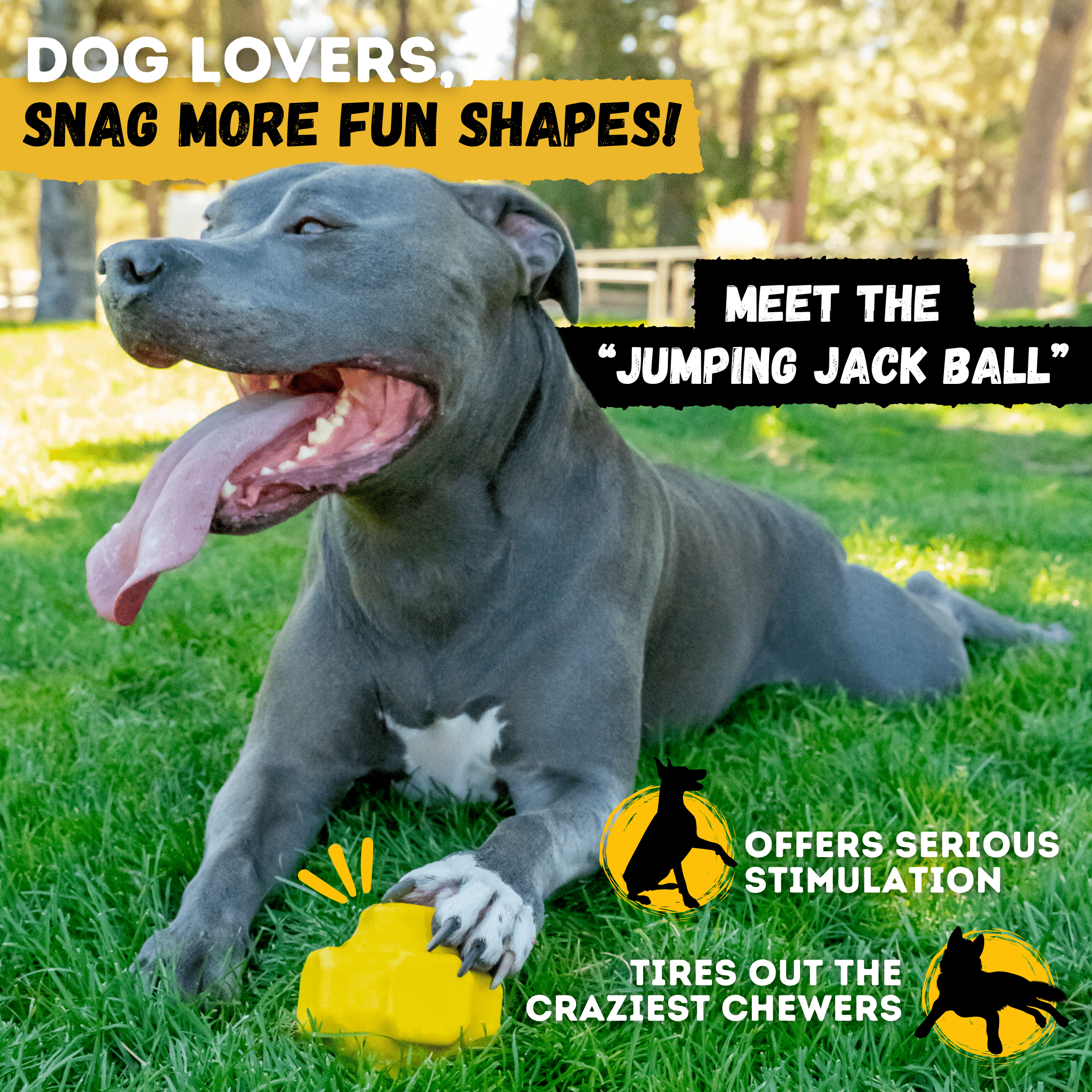 WOOFBITE Sphere Dog Toy | Cross-Cage Design | Industrial-Strength Rubber | Lifetime Guarantee