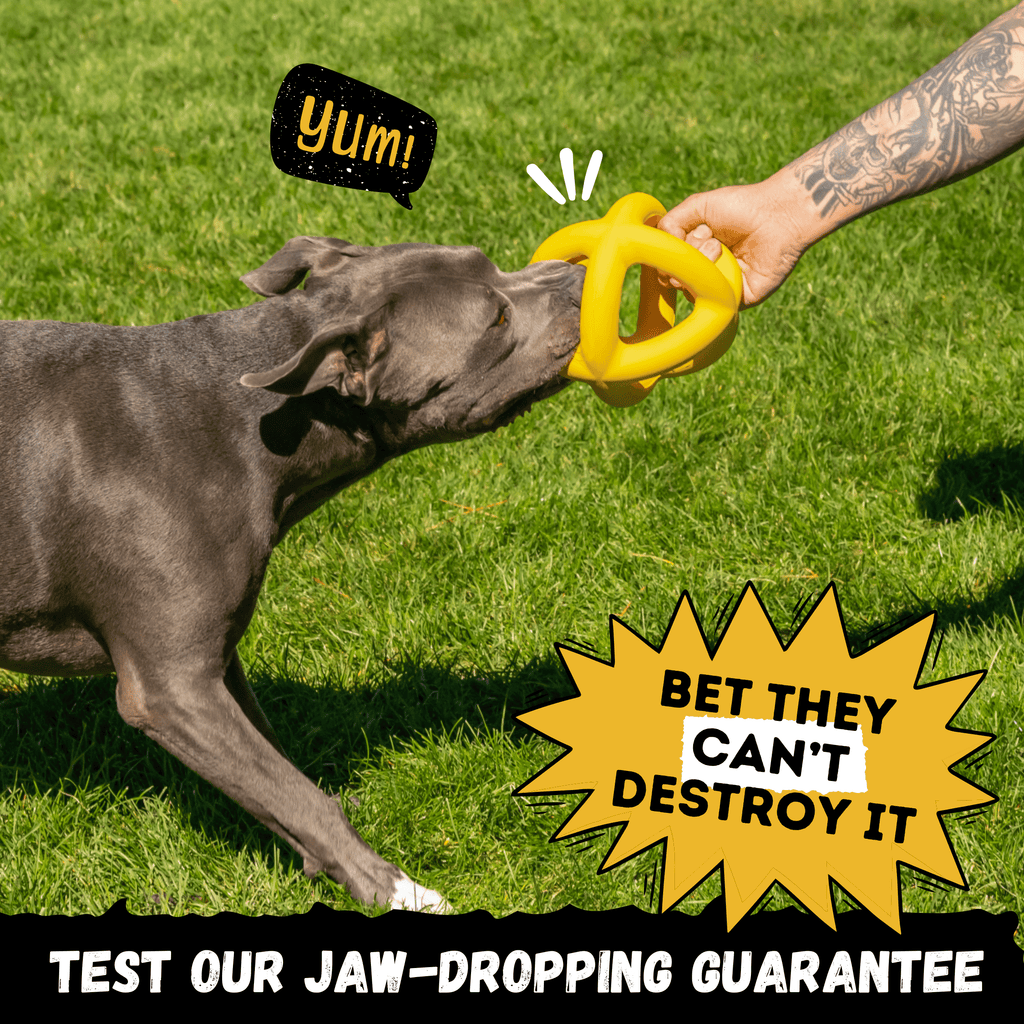 WOOFBITE Sphere Dog Toy | Cross-Cage Design | Industrial-Strength Rubber | Lifetime Guarantee