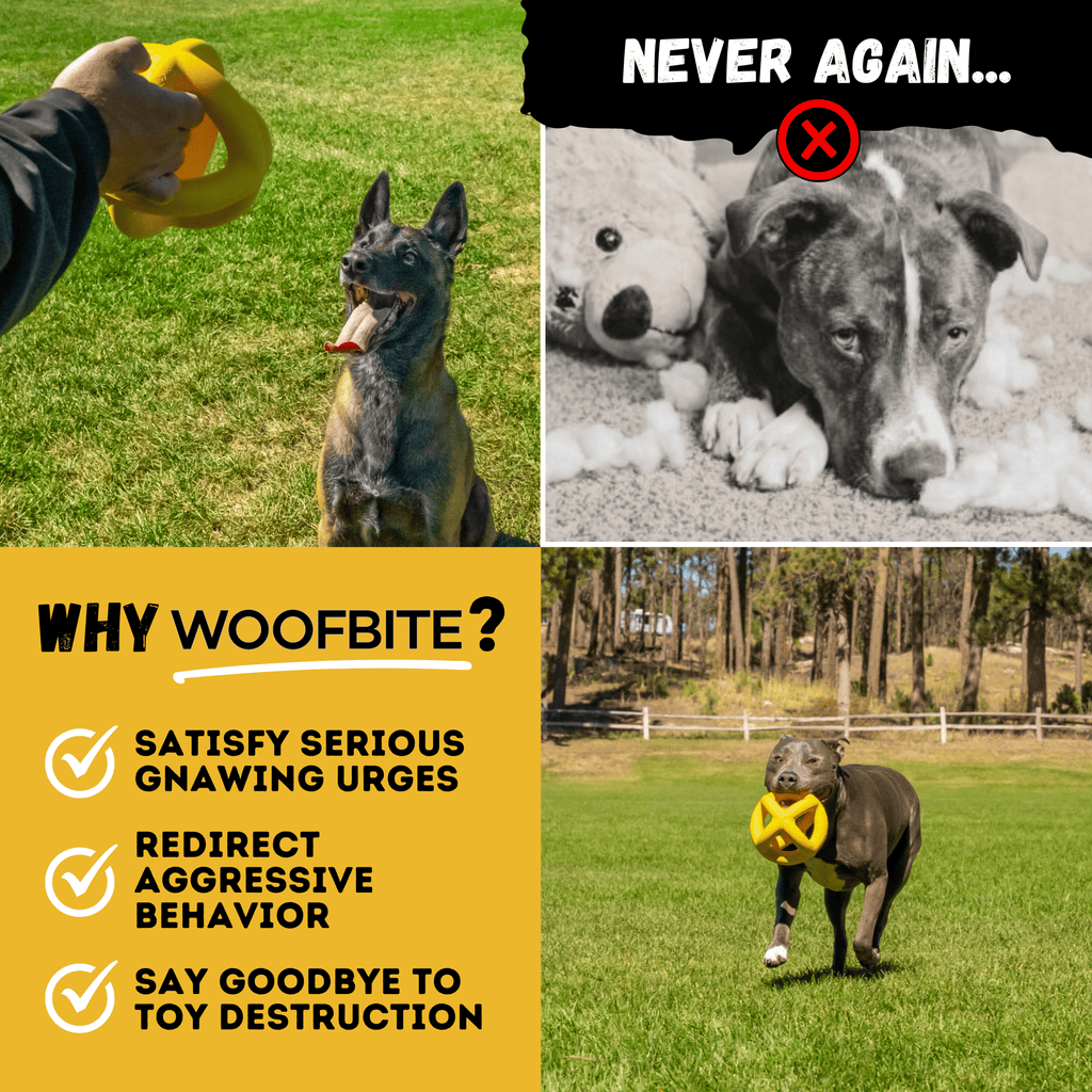 WOOFBITE Sphere Dog Toy | Cross-Cage Design | Industrial-Strength Rubber | Lifetime Guarantee