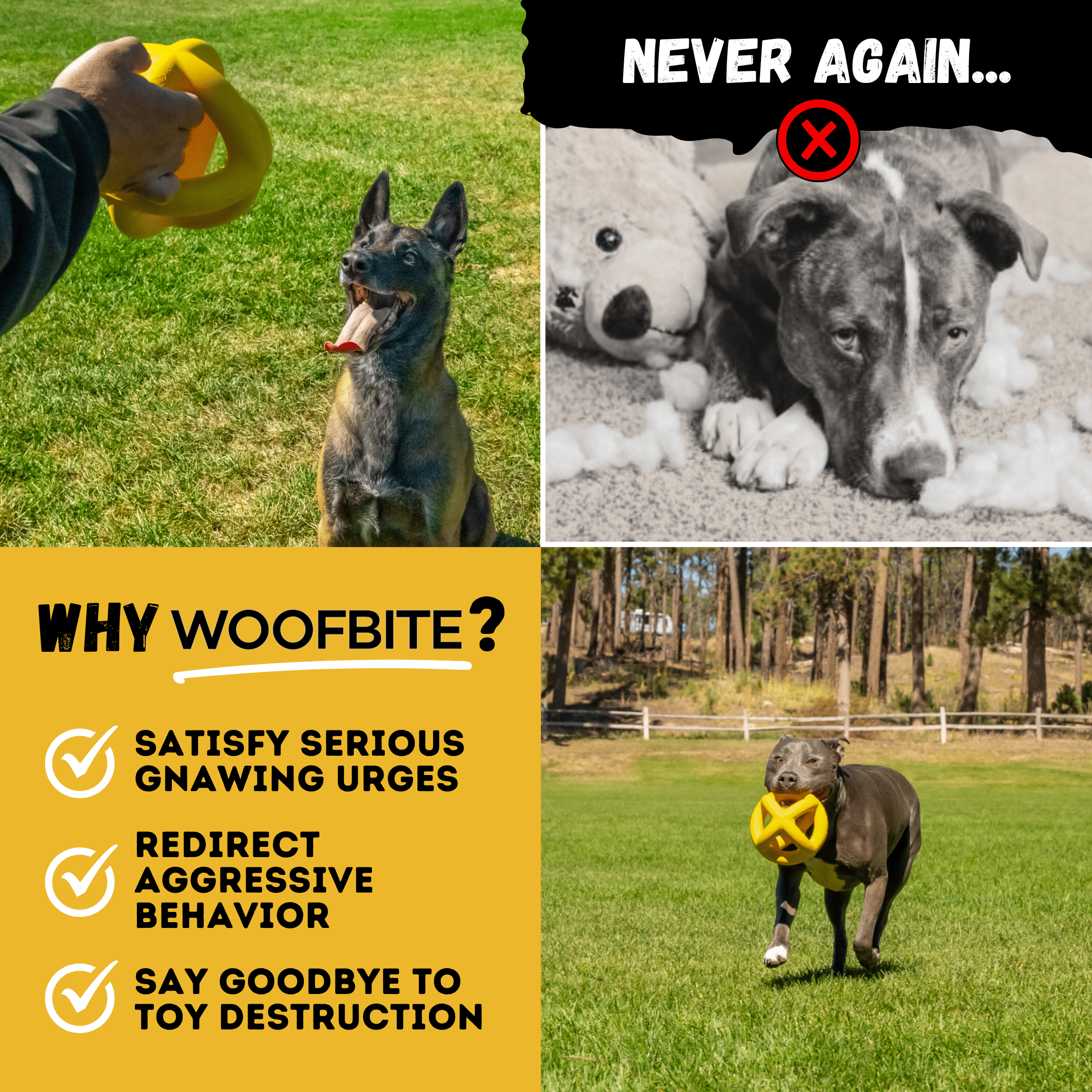 WOOFBITE Sphere Dog Toy | Cross-Cage Design | Industrial-Strength Rubber | Lifetime Guarantee