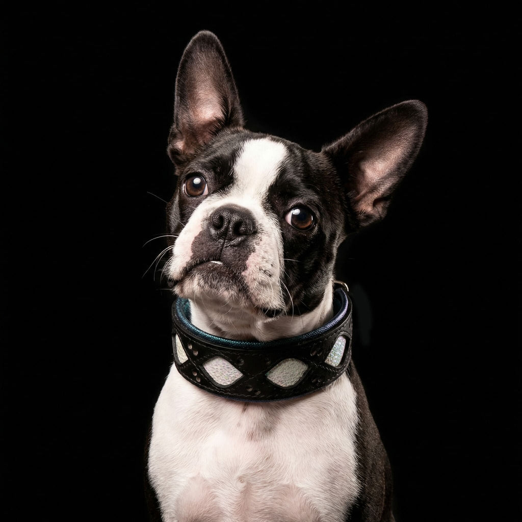 Bestia Avatar Limited Edition Dog Collar | Light-Reflective Leather | Orthopedic Foam | Handmade in Europe