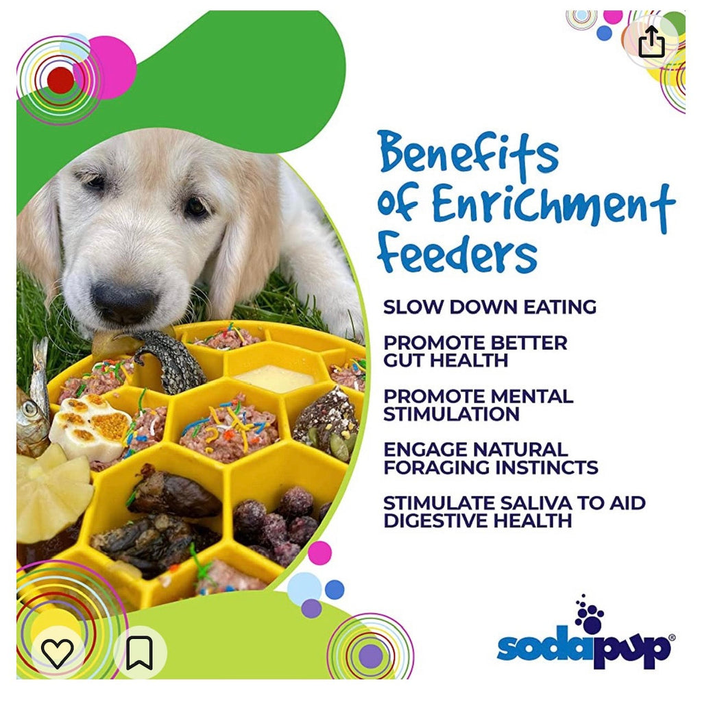 Turn mealtime into enrichment time. The Honeycomb eBowl slows eating by up to 10x, reduces anxiety, and engages foraging instincts. Vet-recommended, dishwasher safe, made in the USA.