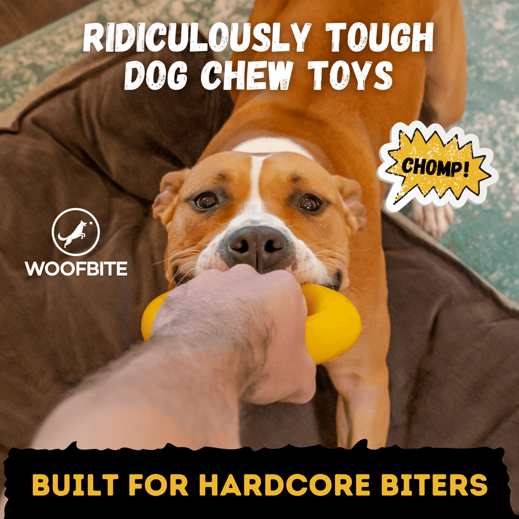 WOOFBITE Ring Dog Toy | Industrial-Strength Natural Rubber | Lifetime Guarantee | Large Dogs