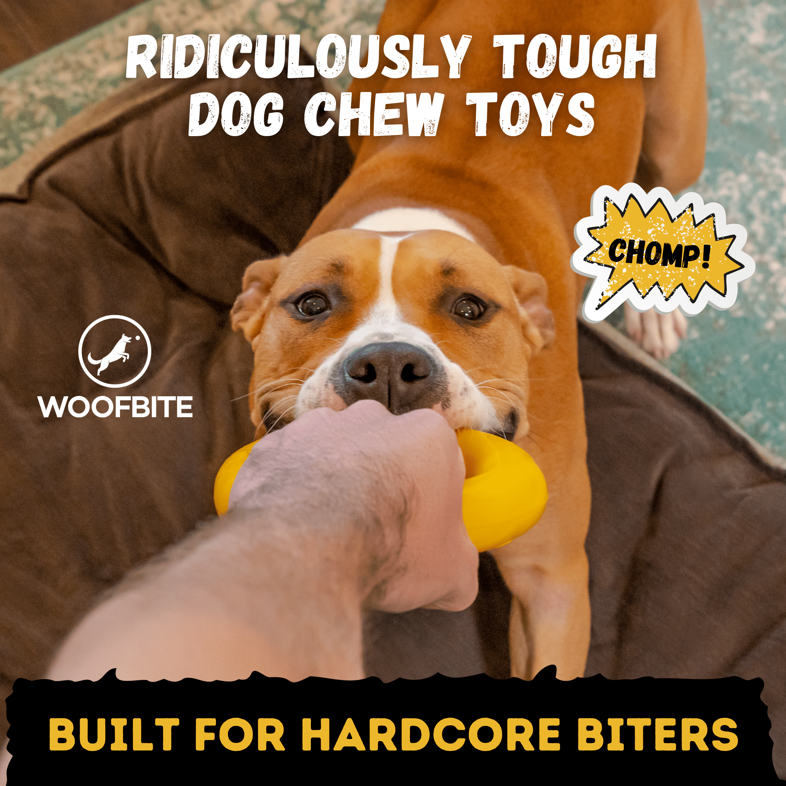 WOOFBITE Ring Dog Toy | Industrial-Strength Natural Rubber | Lifetime Guarantee | Large Dogs
