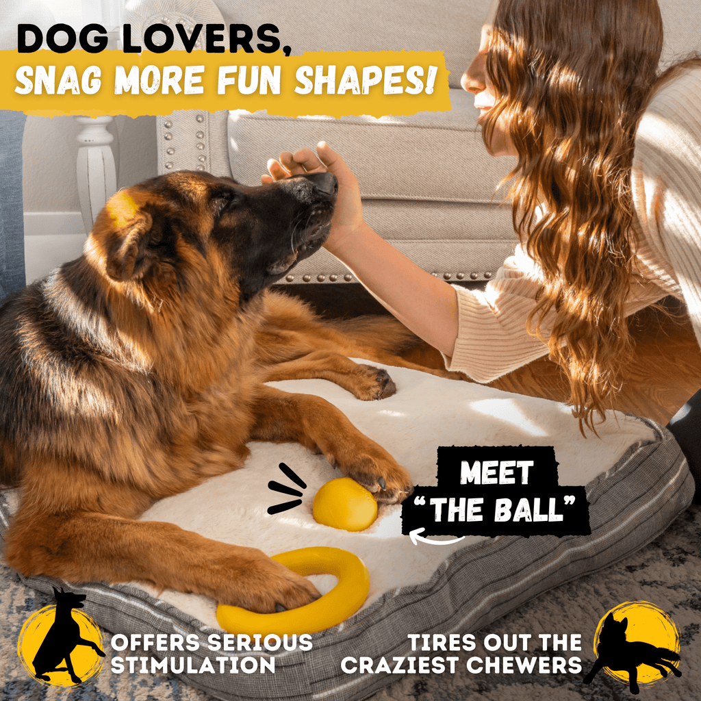 WOOFBITE Ring Dog Toy | Industrial-Strength Natural Rubber | Lifetime Guarantee | Large Dogs