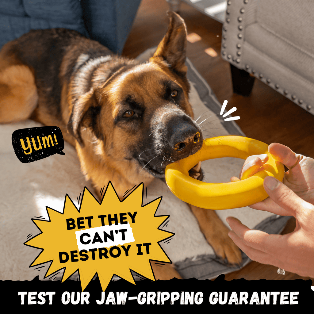 WOOFBITE Ring Dog Toy | Industrial-Strength Natural Rubber | Lifetime Guarantee | Large Dogs