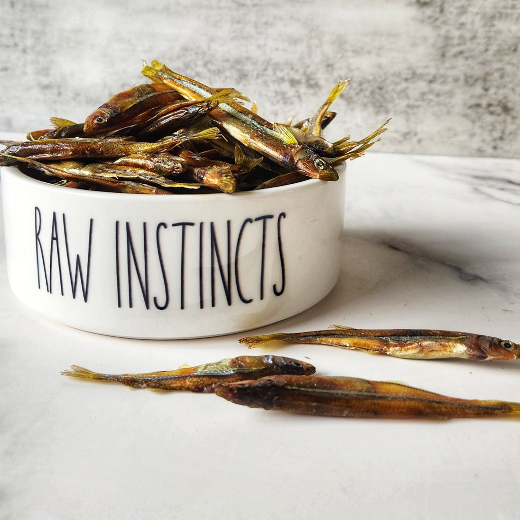Dehydrated Atlantic Silverside Fish Treats | Single Ingredient | Wild-Caught Florida | Dogs & Cats