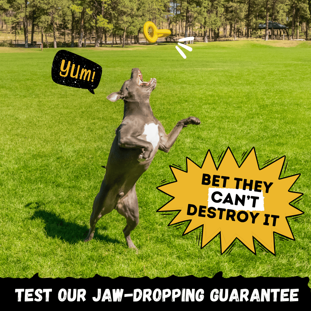 WOOFBITE Dog Toy | Industrial-Strength Natural Rubber | Lifetime Guarantee | Large Dogs