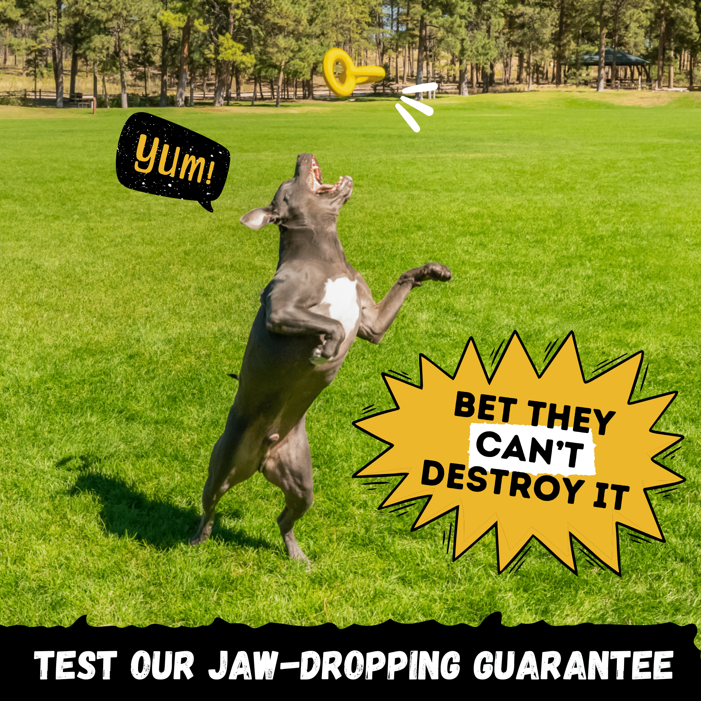 WOOFBITE Dog Toy | Industrial-Strength Natural Rubber | Lifetime Guarantee | Large Dogs