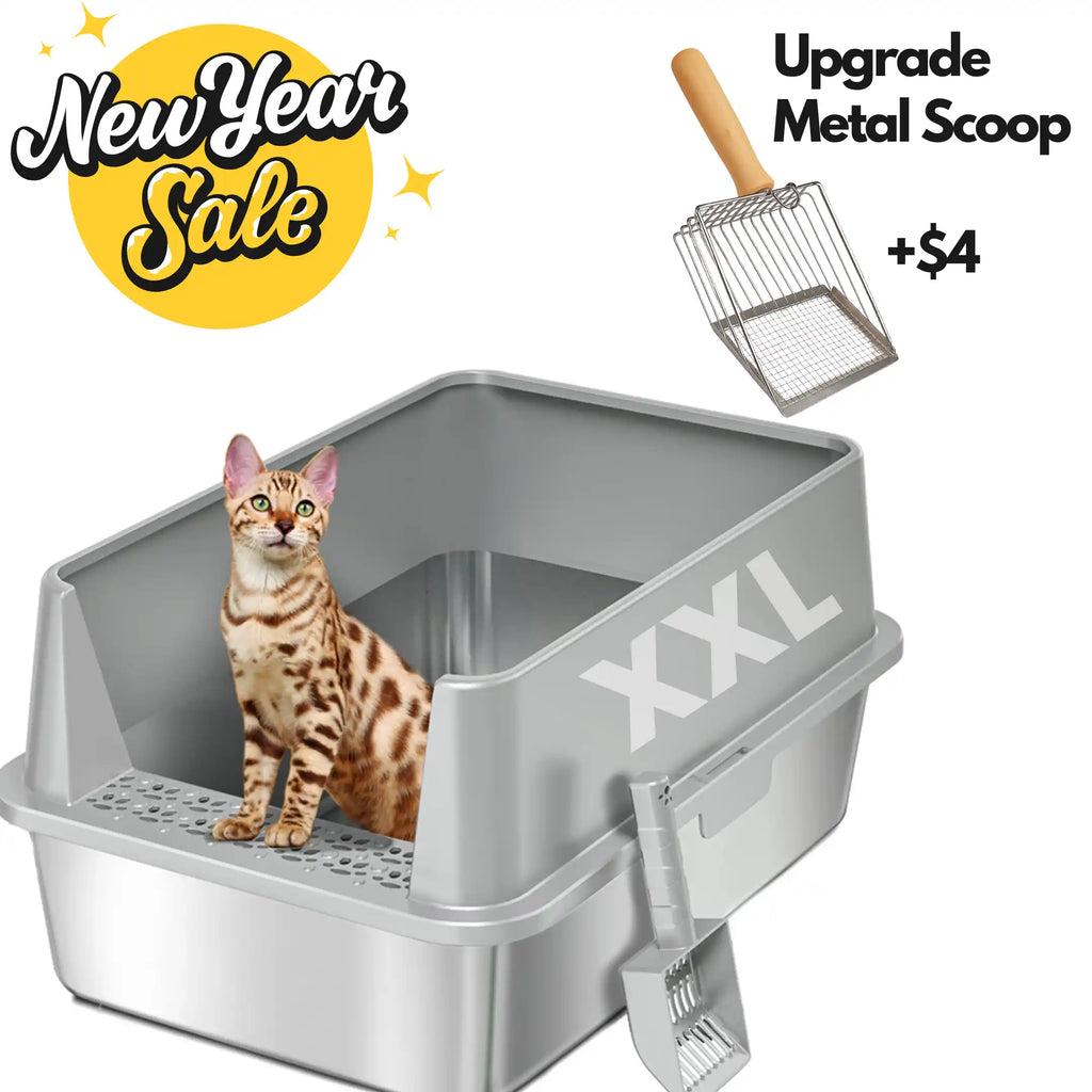 XXL Stainless Steel Cat Litter Box | High Sides, Low Entry | 304 Steel | Multi-Cat & Large Breeds